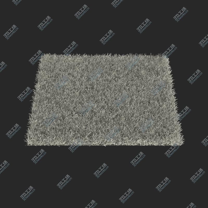 images/goods_img/202104091/Centipede Warm Season Grass/4.jpg